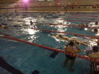 Natación Adultos