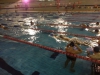 Natación Adultos