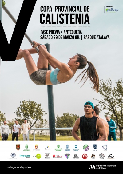 Copa Provincial de Calistenia
